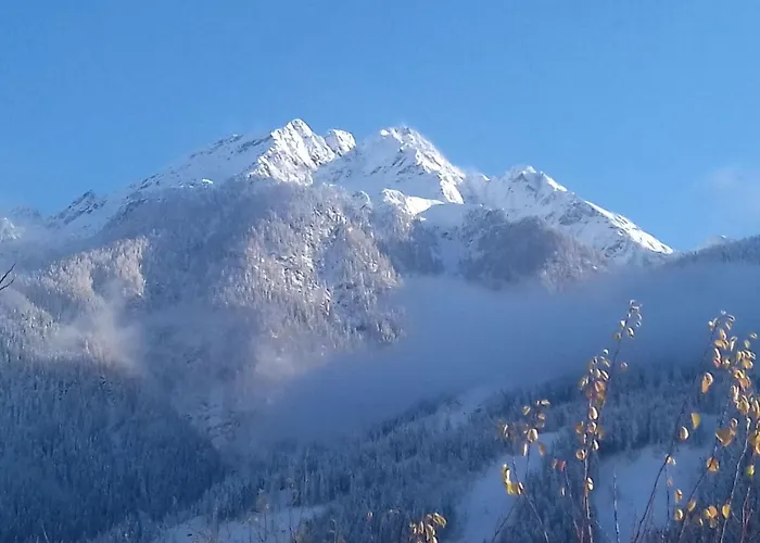 Michaela In By Interhome * Flattach